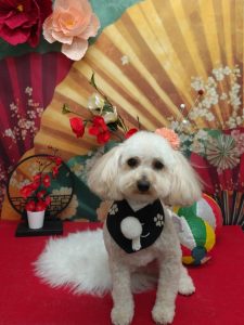 20260122_185549_copy_1970x2628