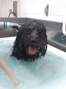 20260123_085946_copy_1814x2420_1