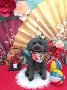 20260123_110609_copy_1844x2458