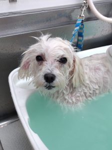 20260123_115256_copy_1944x2592