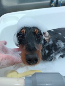 20260123_143522_copy_3000x4000