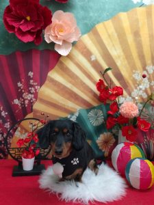 20260123_160829~2_copy_1992x2655