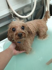 20260123_164742_copy_2084x2778