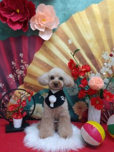 20260123_183454(1)_copy_1935x2580