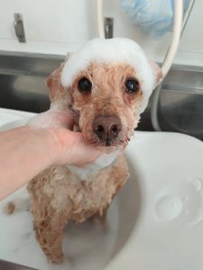 20260124_094749_copy_2554x3406