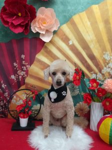 20260124_120752_copy_2003x2671