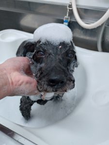 20260124_130728_copy_2557x3409