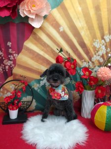 20260124_144012(1)_copy_1985x2647