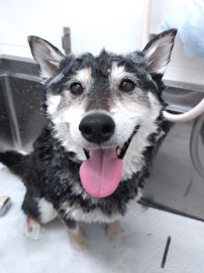 20260124_152857_copy_2700x3600_1