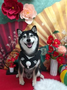 20260124_162328_copy_1898x2530