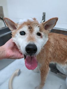 20260124_164906_copy_2700x3600_1