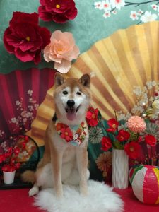 20260124_174029~2_copy_2037x2716