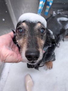 20260124_180135_copy_2426x3234