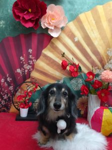 20260124_183351_copy_1990x2654