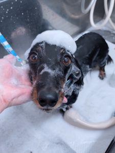 20260124_184033_copy_2927x3902