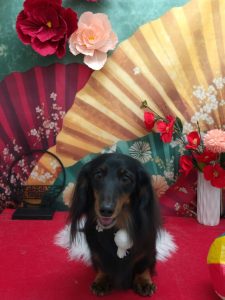 20260124_191709_copy_1995x2660