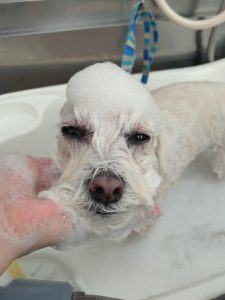 20260126_092944_copy_2442x3256