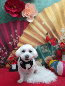 20260126_114836_copy_2008x2677