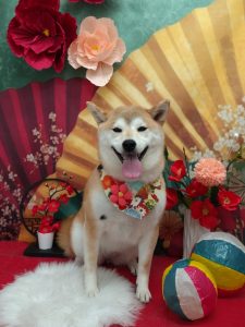 20260126_130244_copy_2081x2773