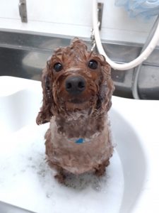 20260126_132937_copy_2811x3748