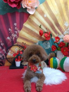 20260126_153503_copy_1924x2567