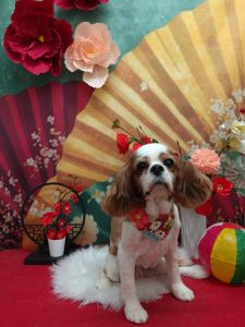 20260126_182740_copy_2007x2676