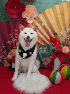 20260127_100652_copy_1986x2648