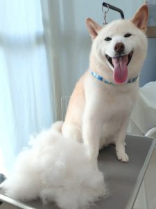 20260127_100925_copy_2552x3403