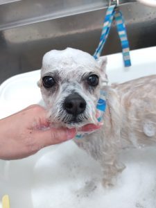 20260127_110847_copy_2717x3623