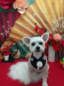 20260127_123111_copy_2010x2678