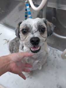 20260127_135718_copy_2400x3200_1