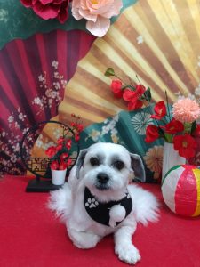 20260127_154350_copy_1960x2614