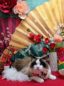 20260127_171448~2_copy_1844x2460