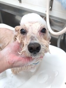 20260129_104806_copy_2718x3624