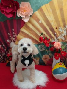 20260129_130307_copy_2000x2668