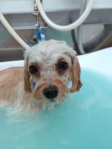 20260129_135158_copy_4784x6380