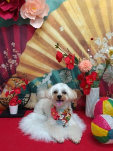 20260129_154922(1)_copy_1971x2628