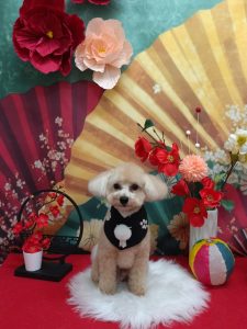 20260129_183416_copy_1994x2660