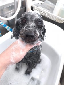 20260130_101116_copy_2454x3272