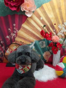 20260130_121218_copy_1989x2652