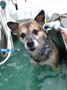 20260130_153802_copy_2028x2704