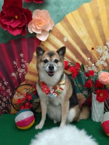 20260130_162147_copy_2009x2679