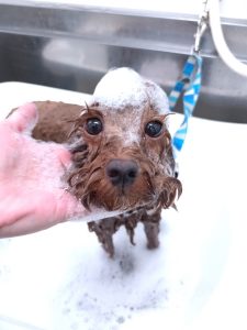 20260130_174054_copy_2700x3600_1