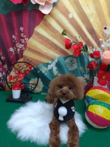 20260130_191106_copy_1972x2629