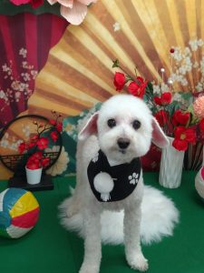 20260131_112951_copy_1890x2520