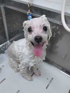 20260131_122828_copy_5166x6890