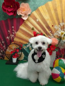 20260131_145650_copy_2058x2745