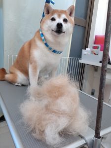 20260131_164620_copy_2700x3600_1