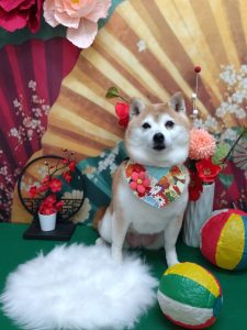 20260131_165454_copy_1988x2653