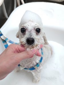 20260131_173137_copy_2986x3982